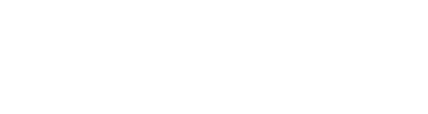 Carrera Racing Logo