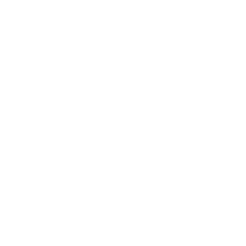 Brands on Speed