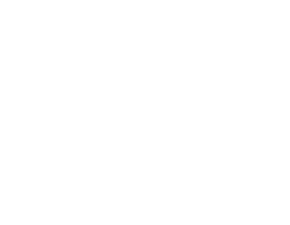 Stays and Rides