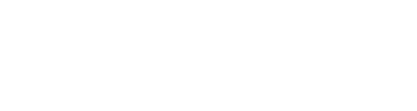 Koenigsegg Partner Logo