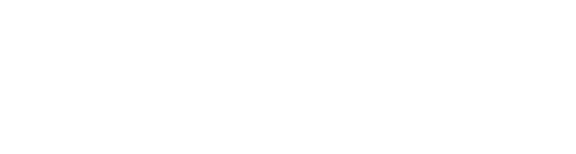 PZR Logo